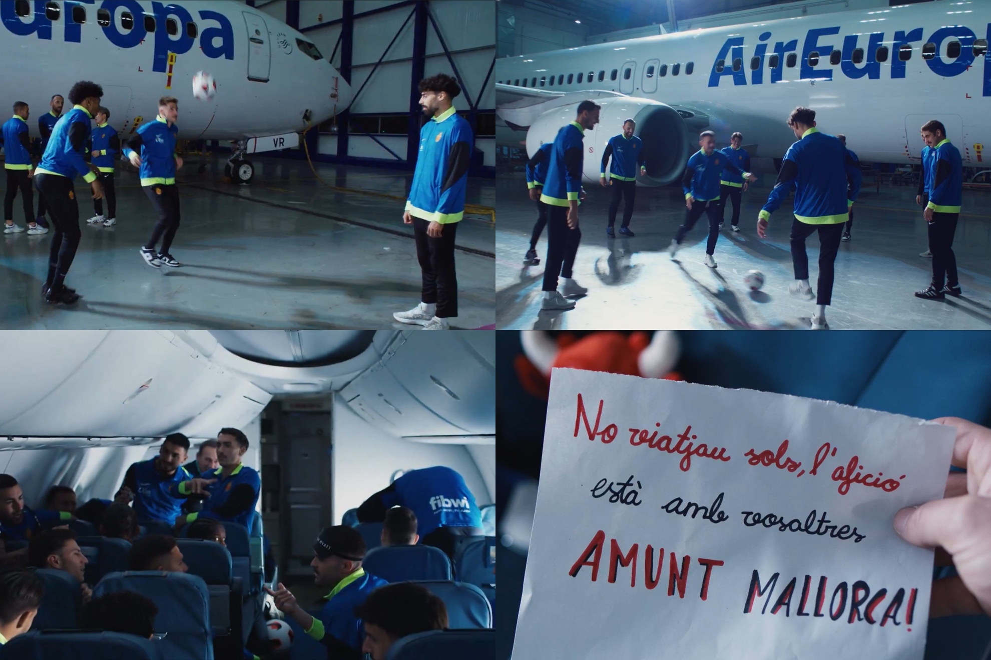 创新与专业 创新与专业